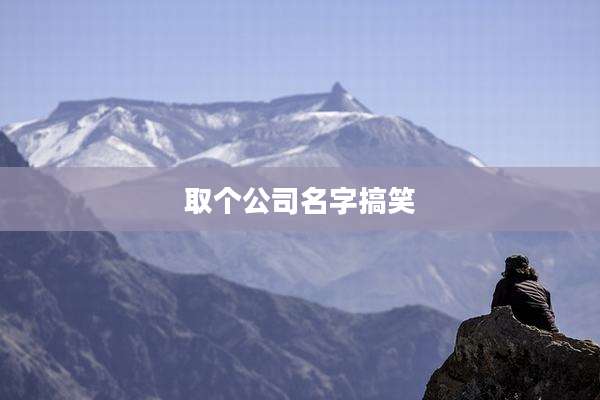 取个公司名字搞笑