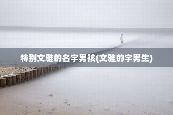 特别文雅的名字男孩(文雅的字男生)