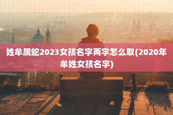 姓牟属蛇2023女孩名字两字怎么取(2020年牟姓女孩名字)