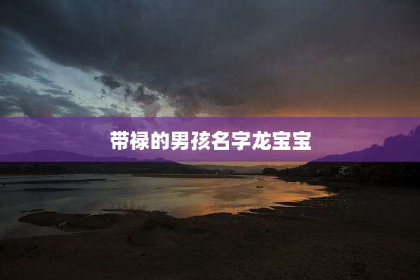 带禄的男孩名字龙宝宝