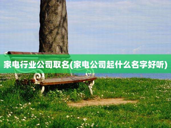 家电行业公司取名(家电公司起什么名字好听)