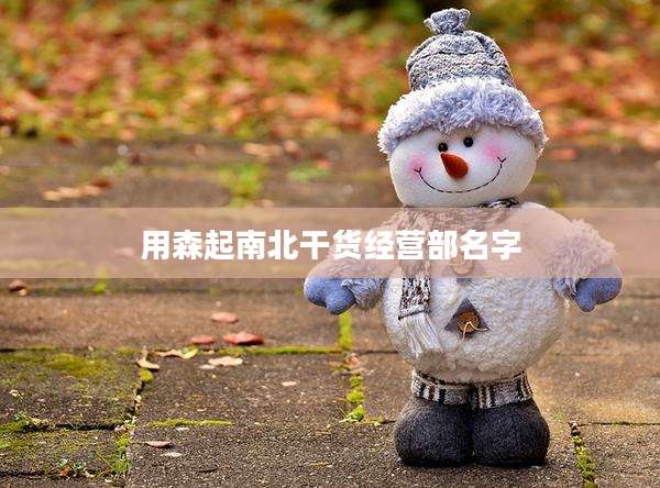 用森起南北干货经营部名字
