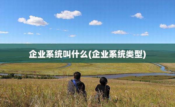 企业系统叫什么(企业系统类型)