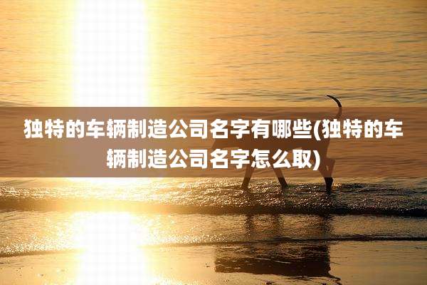独特的车辆制造公司名字有哪些(独特的车辆制造公司名字怎么取)