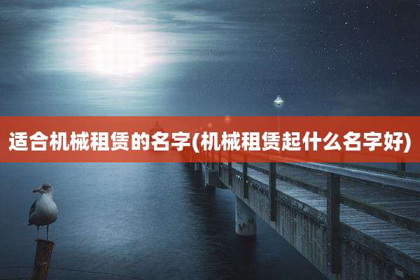 适合机械租赁的名字(机械租赁起什么名字好)