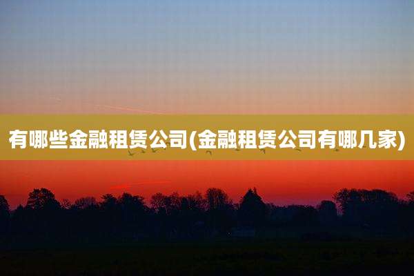 有哪些金融租赁公司(金融租赁公司有哪几家)