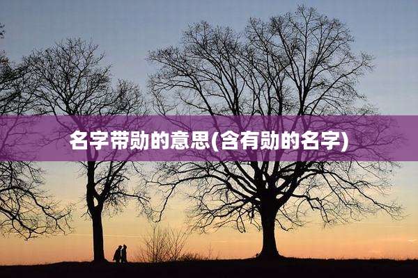 名字带勋的意思(含有勋的名字)