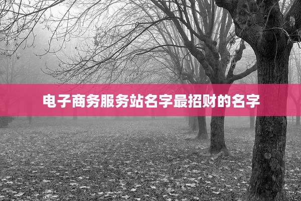 电子商务服务站名字最招财的名字