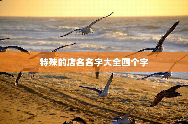 特殊的店名名字大全四个字