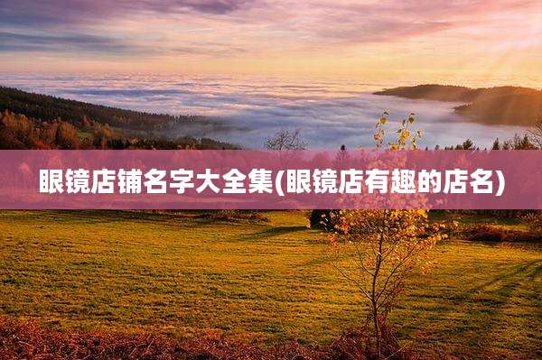 眼镜店铺名字大全集(眼镜店有趣的店名)