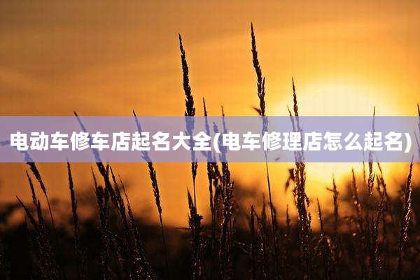 电动车修车店起名大全(电车修理店怎么起名)