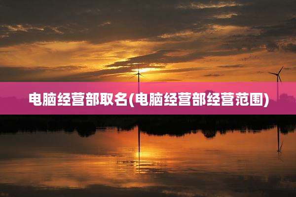 电脑经营部取名(电脑经营部经营范围)