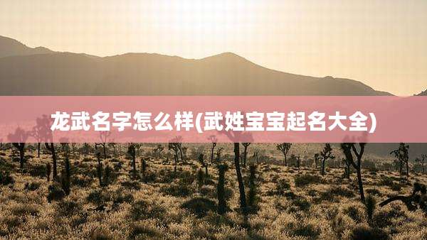 龙武名字怎么样(武姓宝宝起名大全)