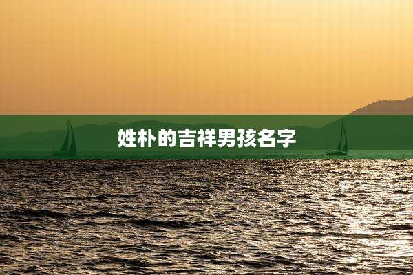 姓朴的吉祥男孩名字