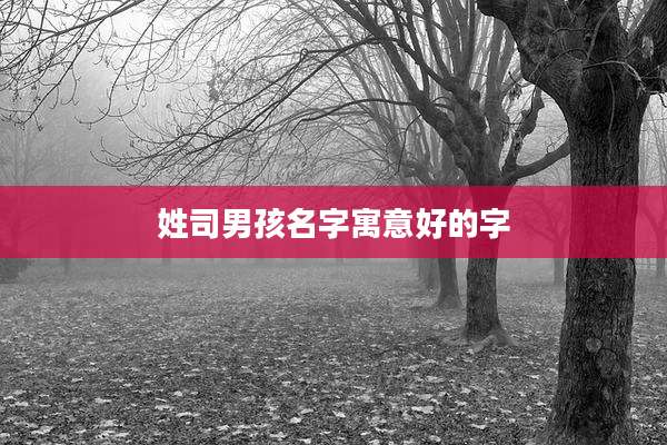 姓司男孩名字寓意好的字