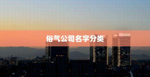 俗气公司名字分类