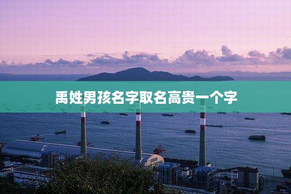 禹姓男孩名字取名高贵一个字