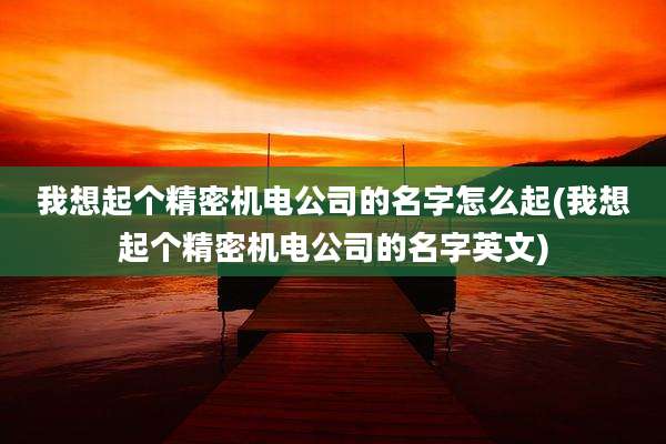 我想起个精密机电公司的名字怎么起(我想起个精密机电公司的名字英文)