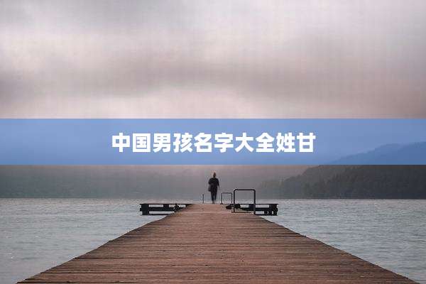 中国男孩名字大全姓甘