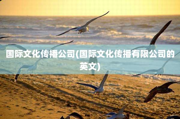 国际文化传播公司(国际文化传播有限公司的英文)