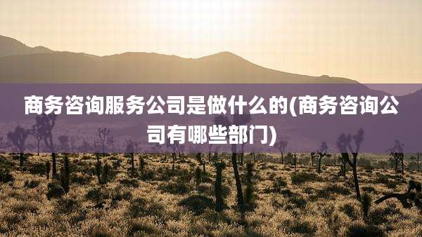 商务咨询服务公司是做什么的(商务咨询公司有哪些部门)