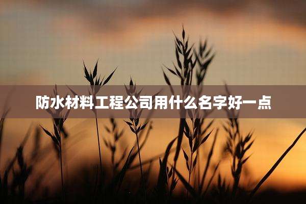 防水材料工程公司用什么名字好一点