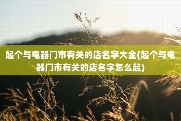 起个与电器门市有关的店名字大全(起个与电器门市有关的店名字怎么起)