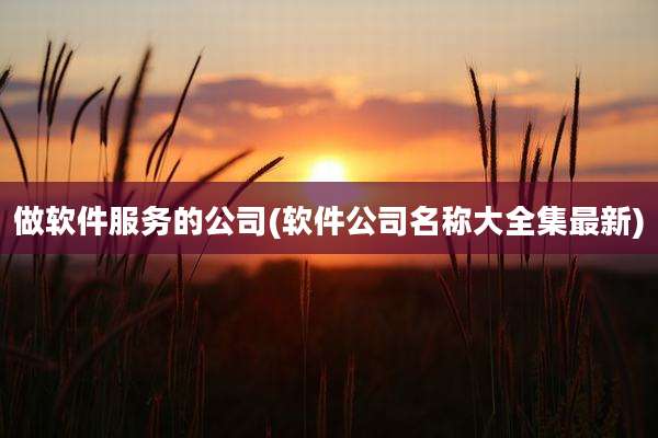 做软件服务的公司(软件公司名称大全集最新)