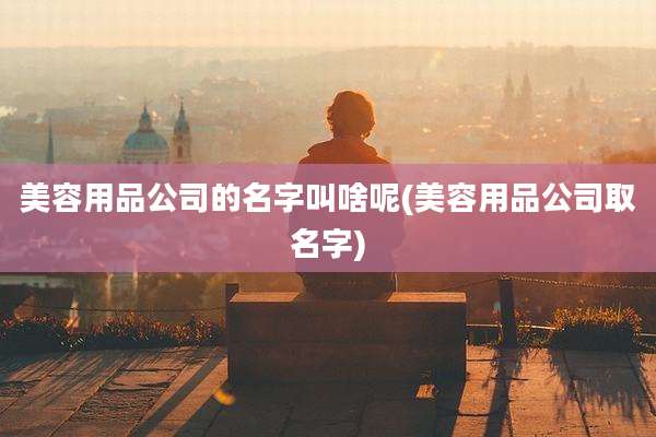 美容用品公司的名字叫啥呢(美容用品公司取名字)