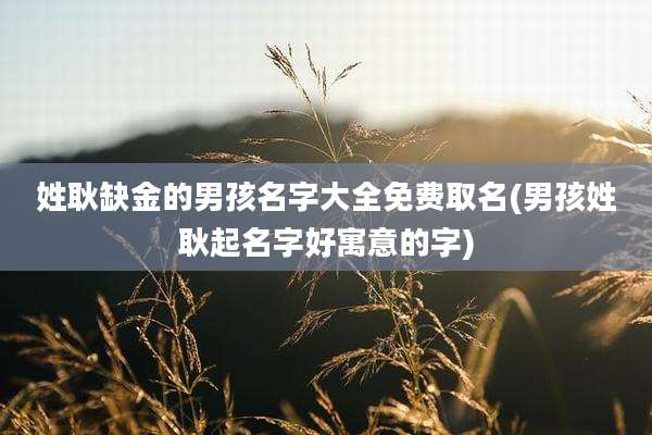 姓耿缺金的男孩名字大全免费取名(男孩姓耿起名字好寓意的字)