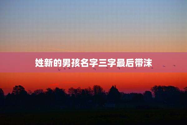 姓新的男孩名字三字最后带沫