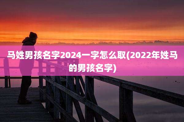 马姓男孩名字2024一字怎么取(2022年姓马的男孩名字)