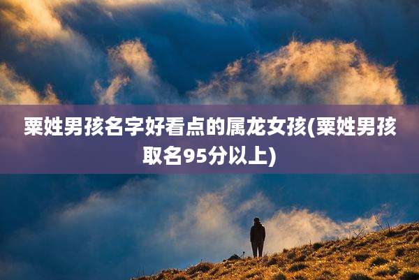 粟姓男孩名字好看点的属龙女孩(粟姓男孩取名95分以上)
