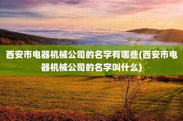西安市电器机械公司的名字有哪些(西安市电器机械公司的名字叫什么)