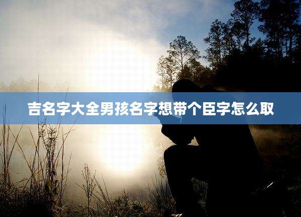 吉名字大全男孩名字想带个臣字怎么取