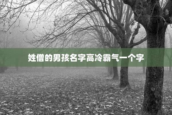 姓僧的男孩名字高冷霸气一个字
