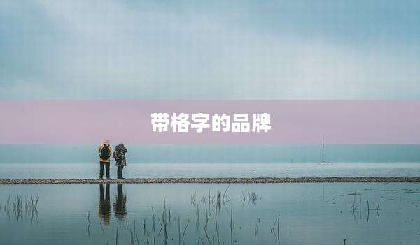 带格字的品牌