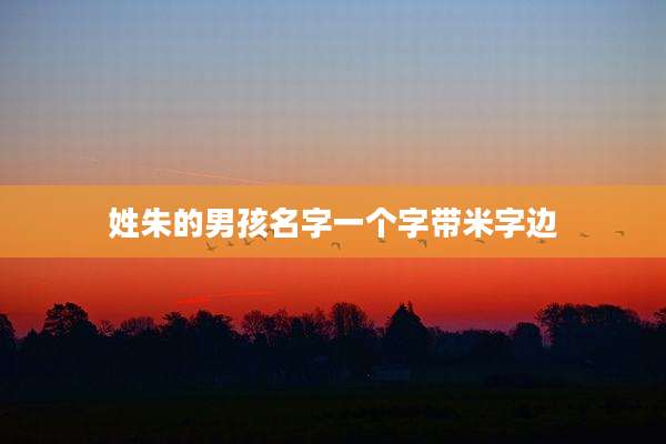 姓朱的男孩名字一个字带米字边
