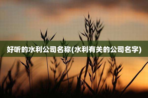 好听的水利公司名称(水利有关的公司名字)