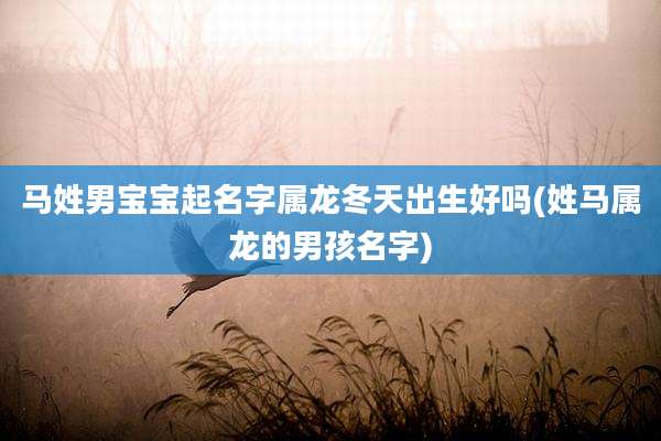 马姓男宝宝起名字属龙冬天出生好吗(姓马属龙的男孩名字)