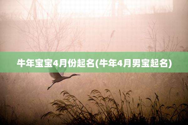 牛年宝宝4月份起名(牛年4月男宝起名)