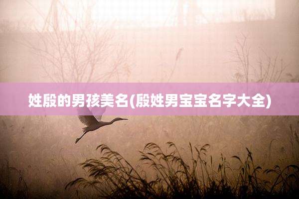 姓殷的男孩美名(殷姓男宝宝名字大全)
