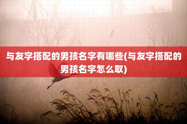 与友字搭配的男孩名字有哪些(与友字搭配的男孩名字怎么取)