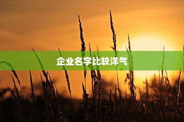 企业名字比较洋气