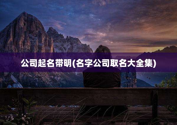 公司起名带明(名字公司取名大全集)