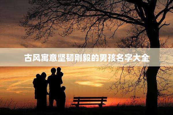 古风寓意坚韧刚毅的男孩名字大全