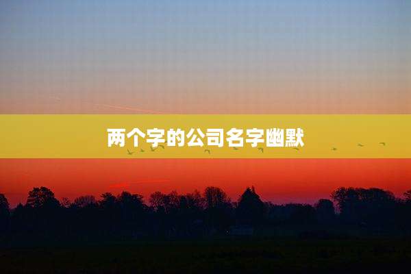 两个字的公司名字幽默