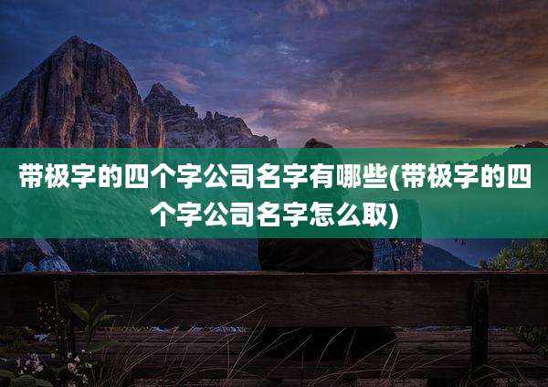 带极字的四个字公司名字有哪些(带极字的四个字公司名字怎么取)