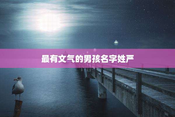 最有文气的男孩名字姓严