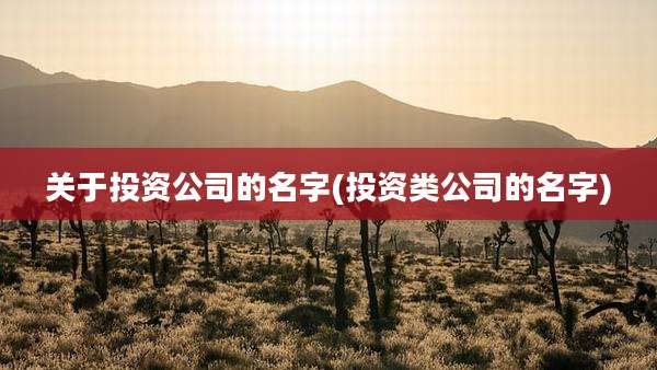 关于投资公司的名字(投资类公司的名字)